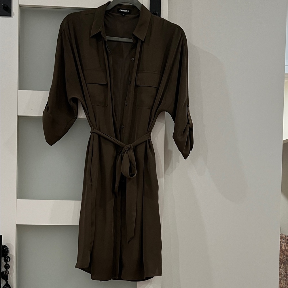Express button down dress